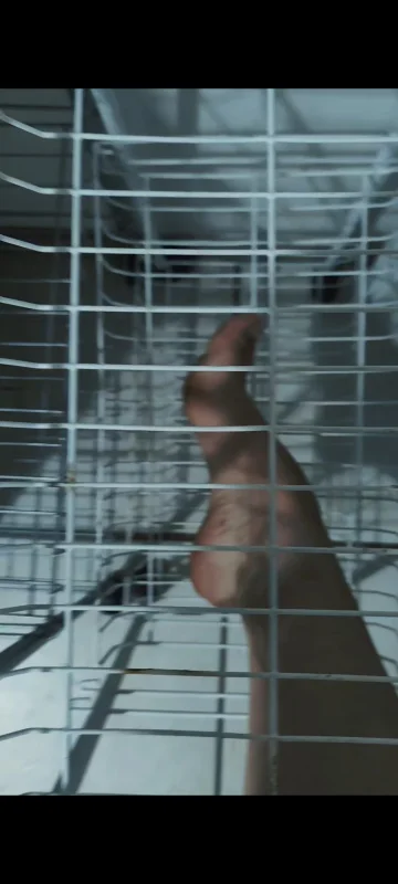 En cage – pack de Liline